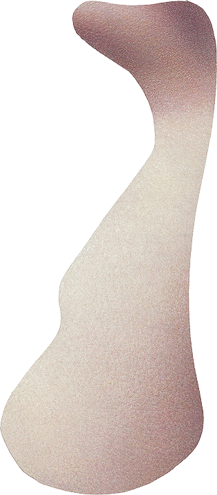 Körperteil