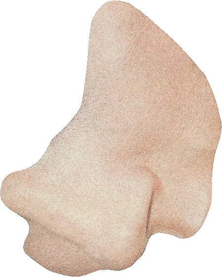 Körperteil